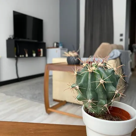 Sari Koesk Guest house Istanbul